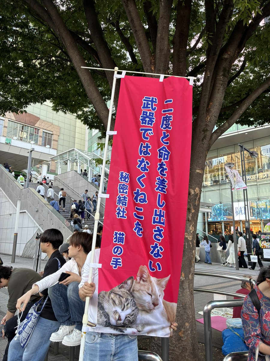 春ねむり HARU NEMURI (She/Her) tweet media