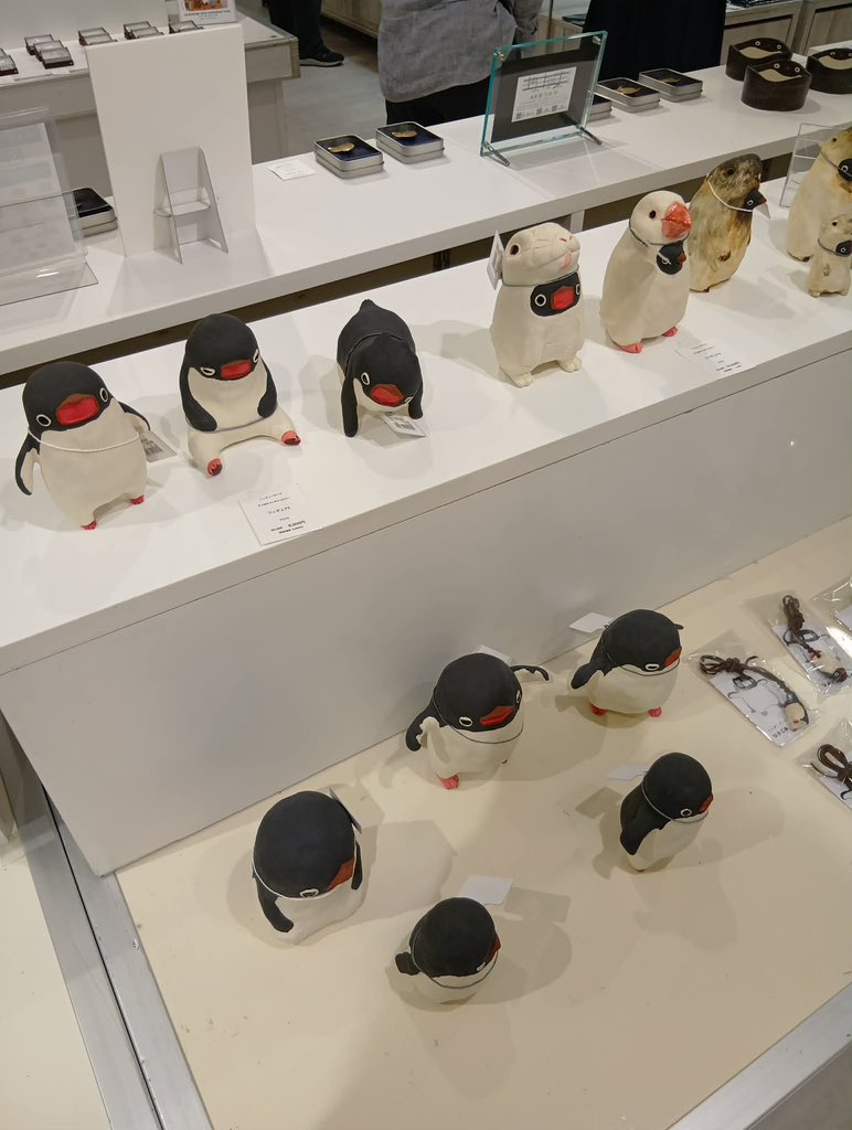 さっぽろペンギンコロニー tweet media