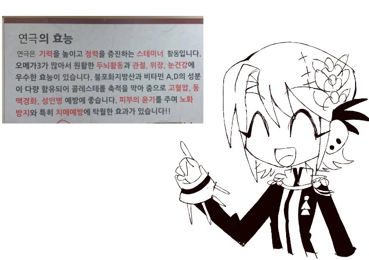 샤파 tweet media