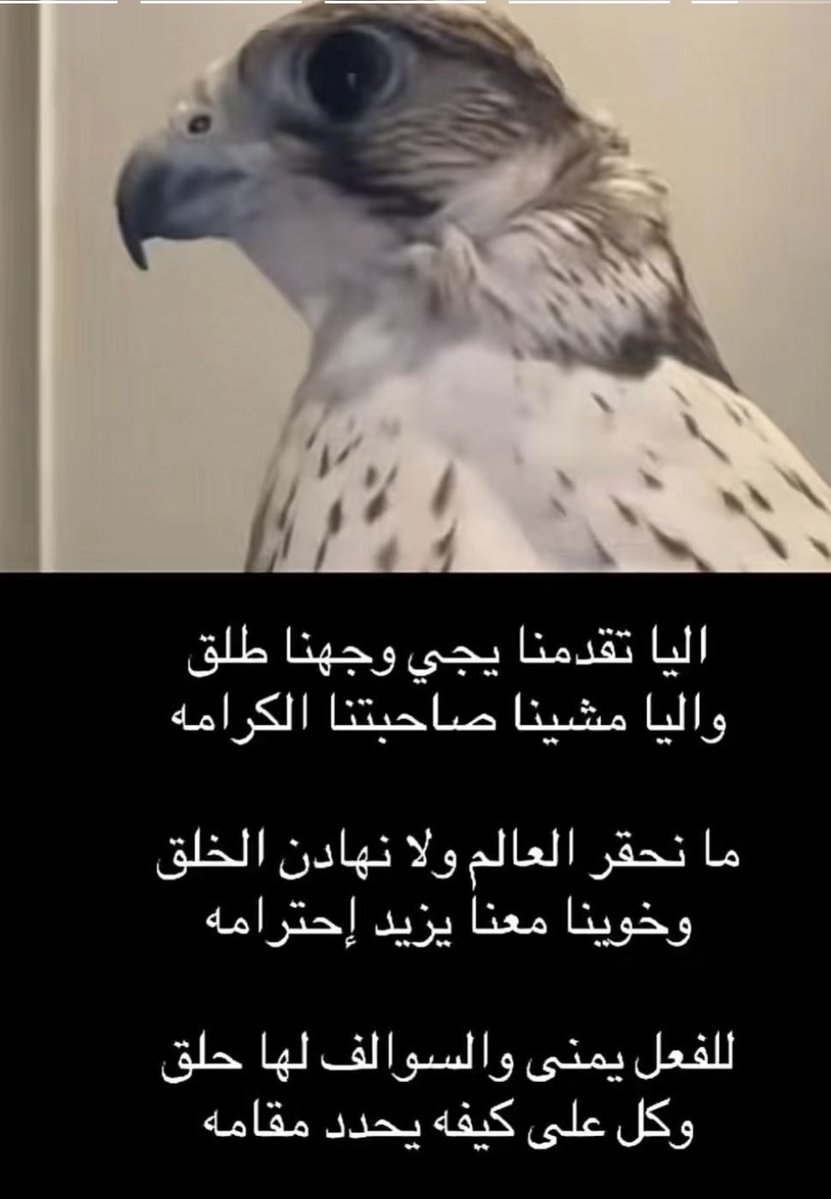 الشامخ tweet media