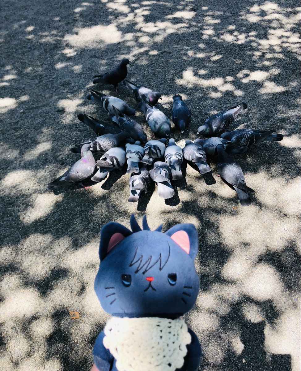 ❤︎ トモ様 ❤︎ 🐦さん こちらへどうぞ」