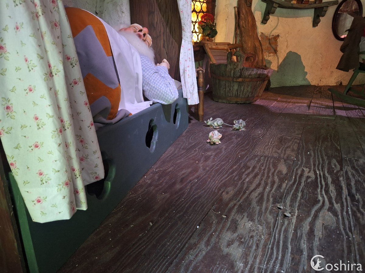 Coshira_'s tweet photo. De schoentjes bij de slapende kabouter zijn waarschijnlijk weg om gemaakt te worden.

#Efteling #Kabouterdorp #Sprookjesbos https://t.co/Os9l1HEW9q