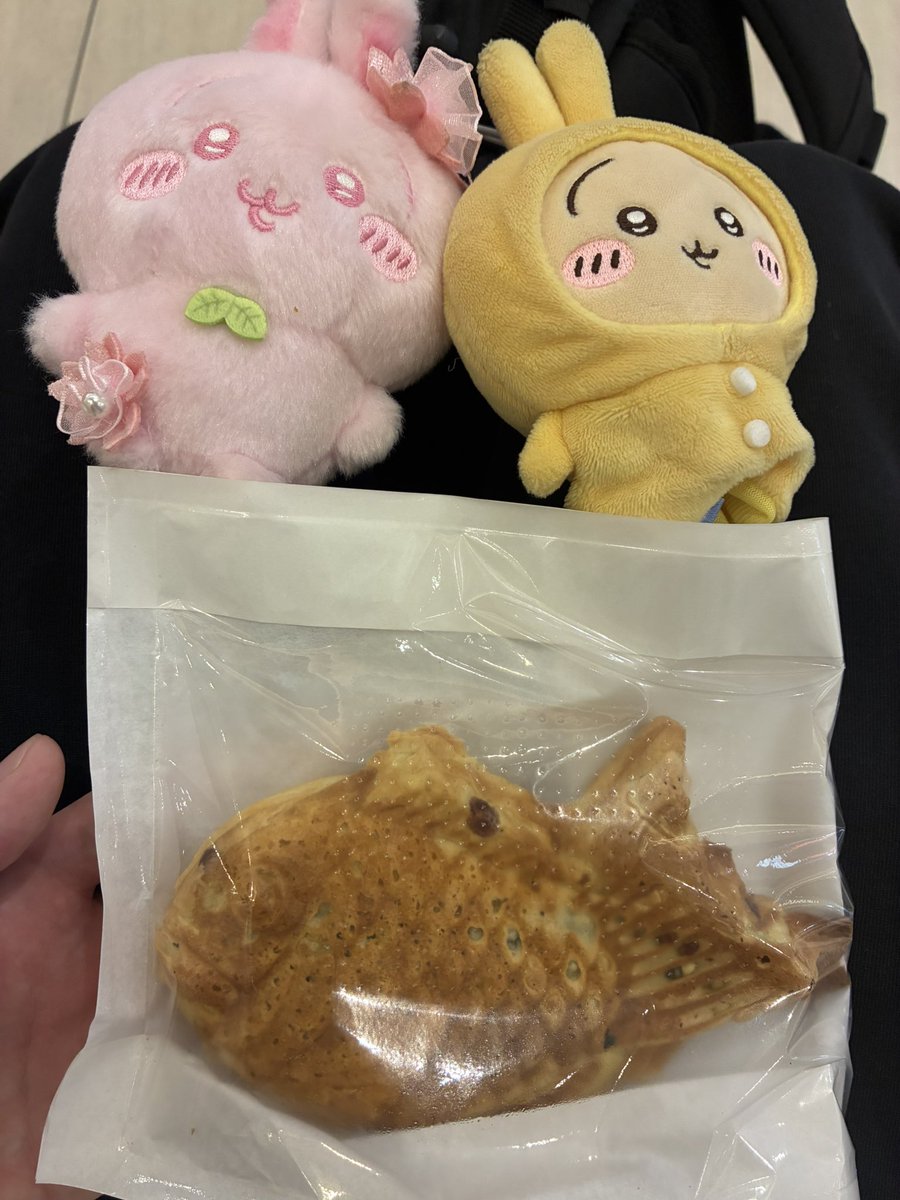 医・ウォンヒ tweet media