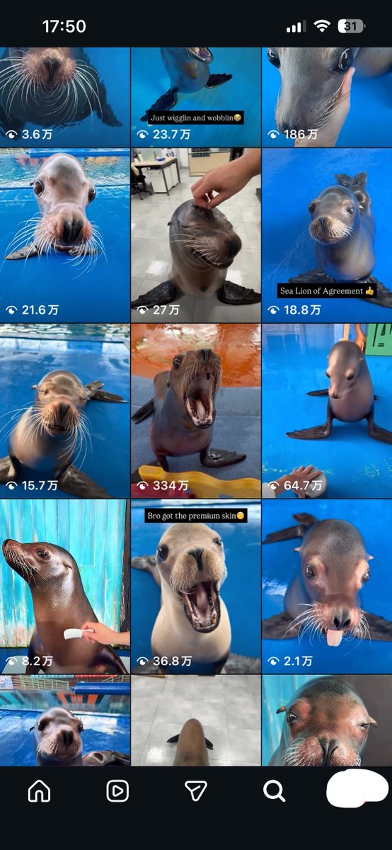 てとら tweet media