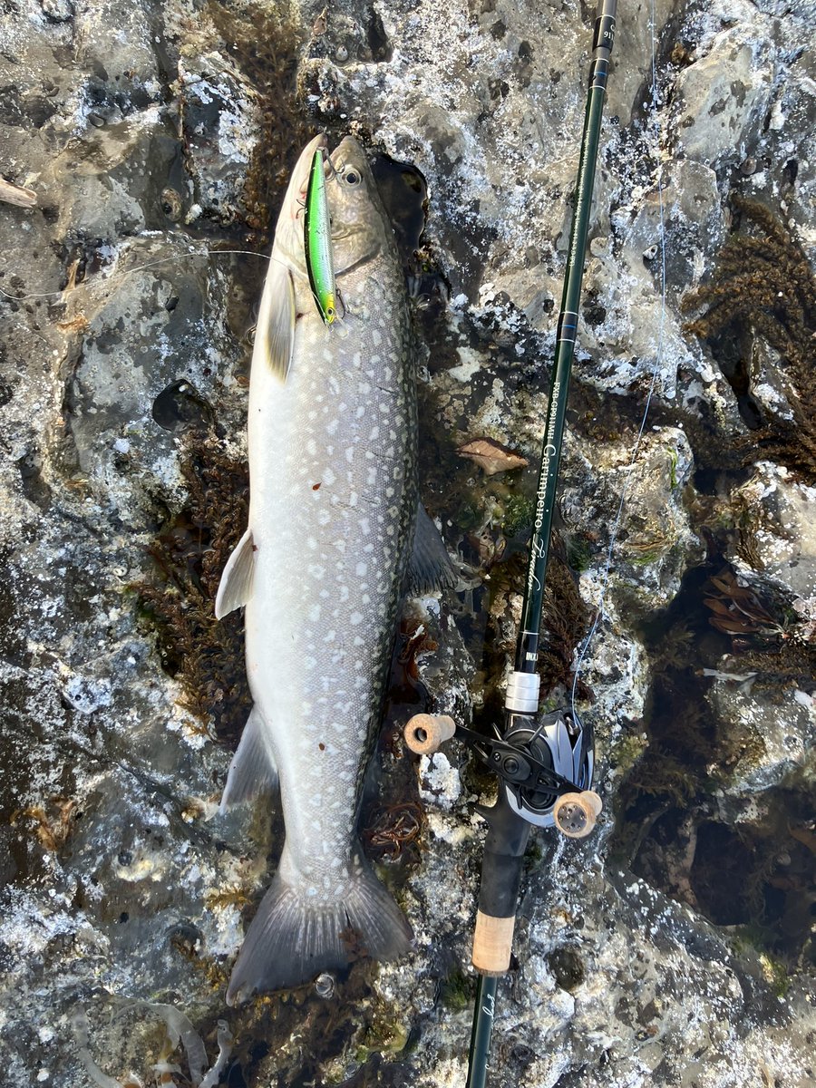 eevee_fishing's tweet photo. 他にも50upのアメマスとぶっといアイナメも
充実遠征でした https://t.co/3VwELTVjpk