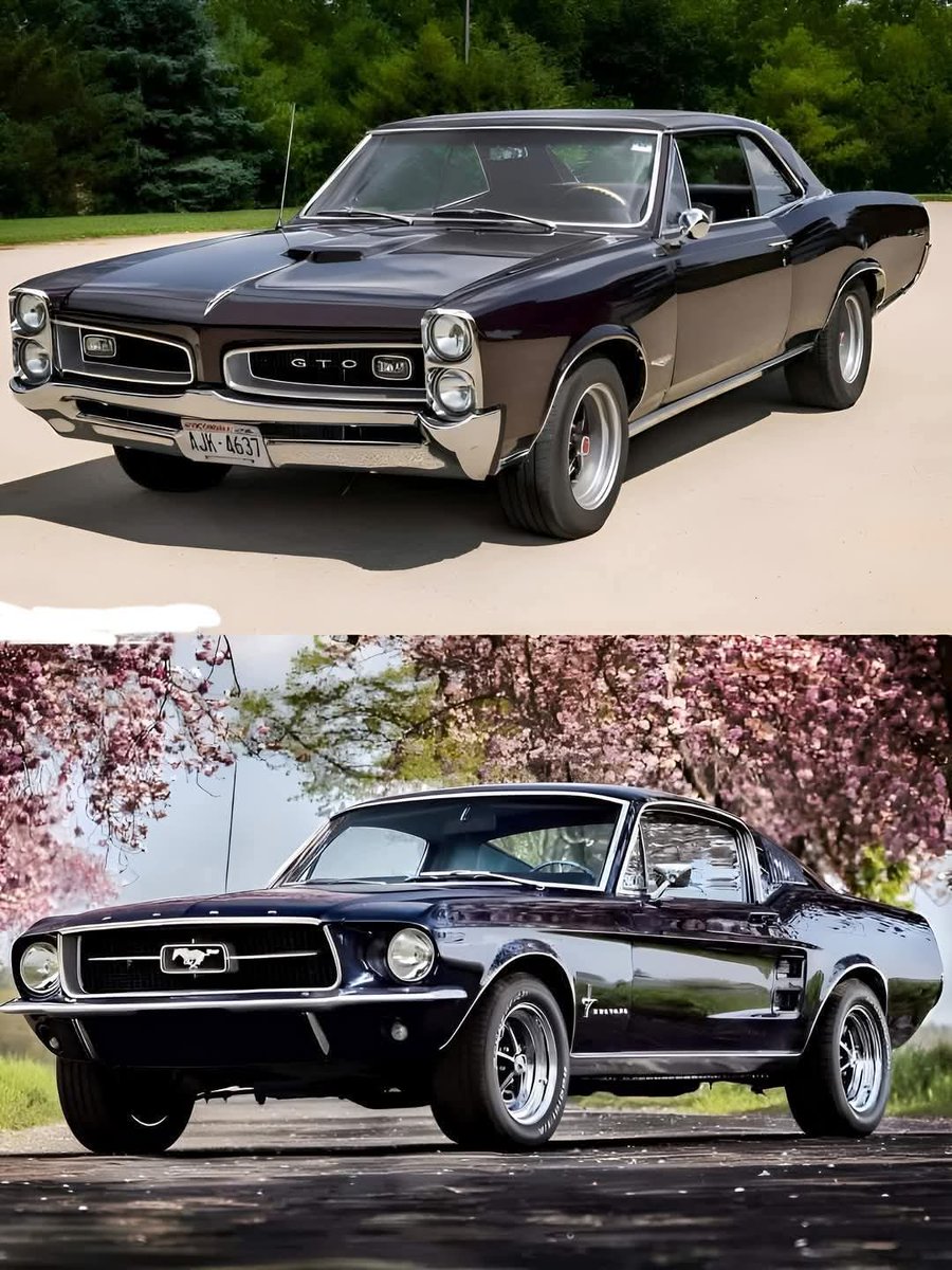 Vintage Cars Collection tweet media