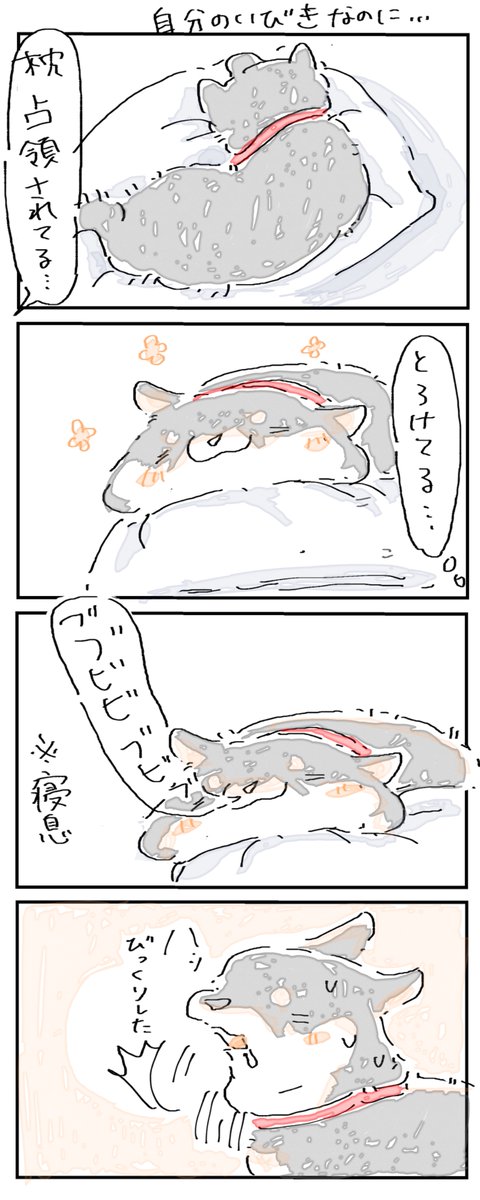 さら tweet media