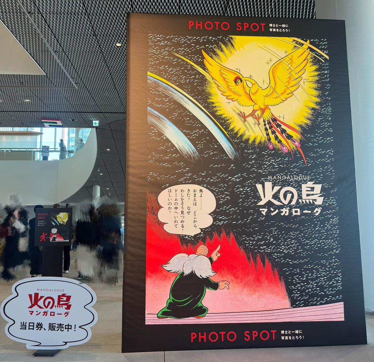 いまさらほんこち火の鳥🐦‍🔥！ 久しぶりでとりあえず撮れそうなところ
