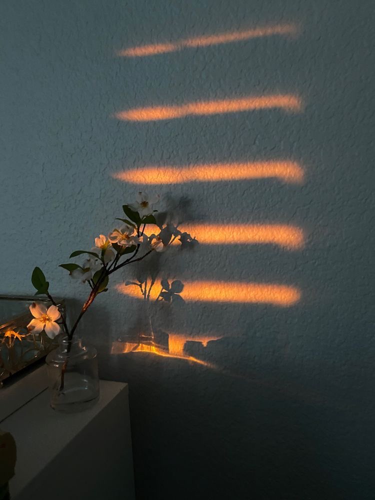 • "Morning is a quiet conversation between the sun and the shadows”
Have a great day !