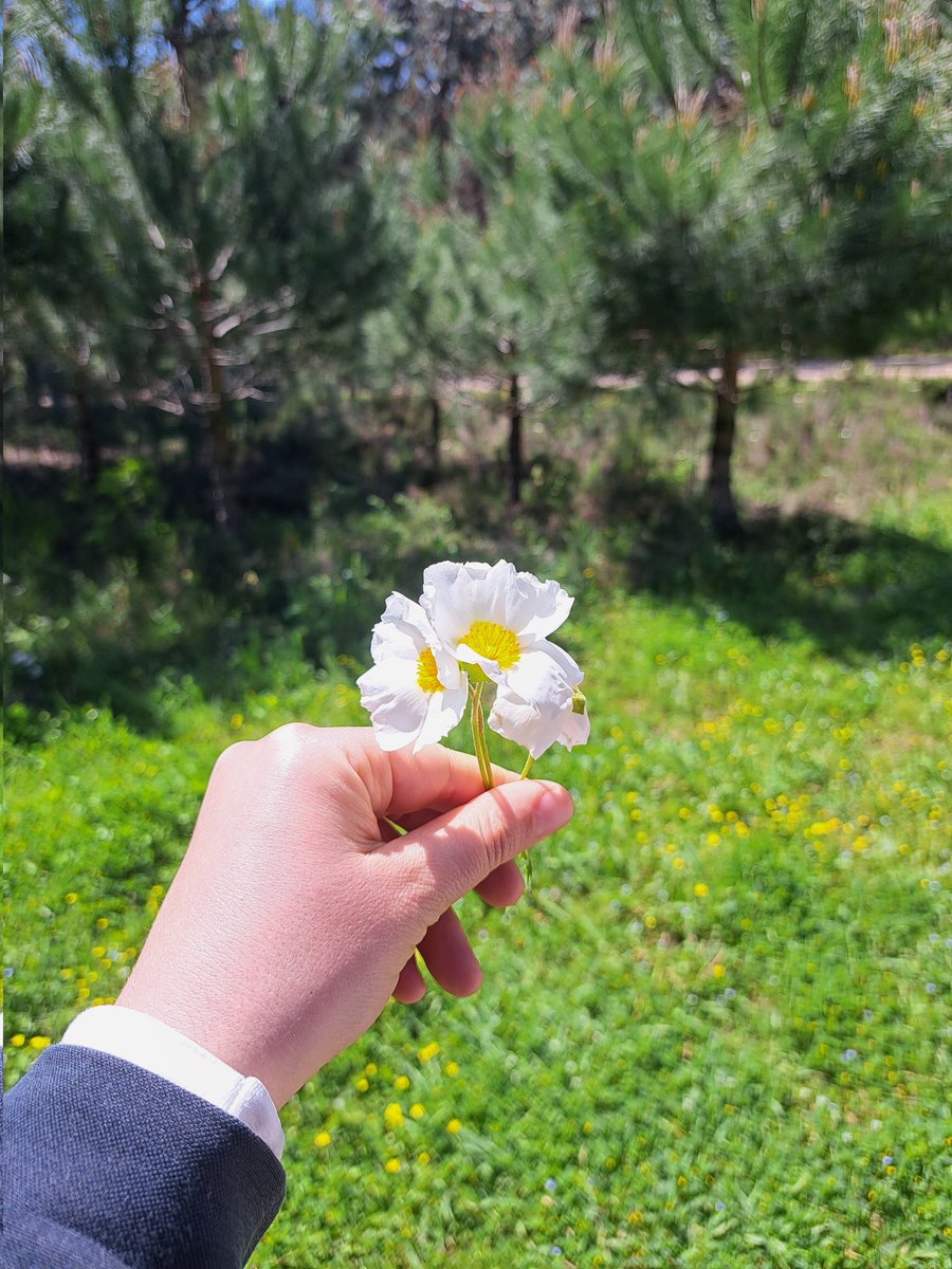 shdaglr's tweet photo. Yavru kuşumdan annesine 💚 https://t.co/1z03C6gekx