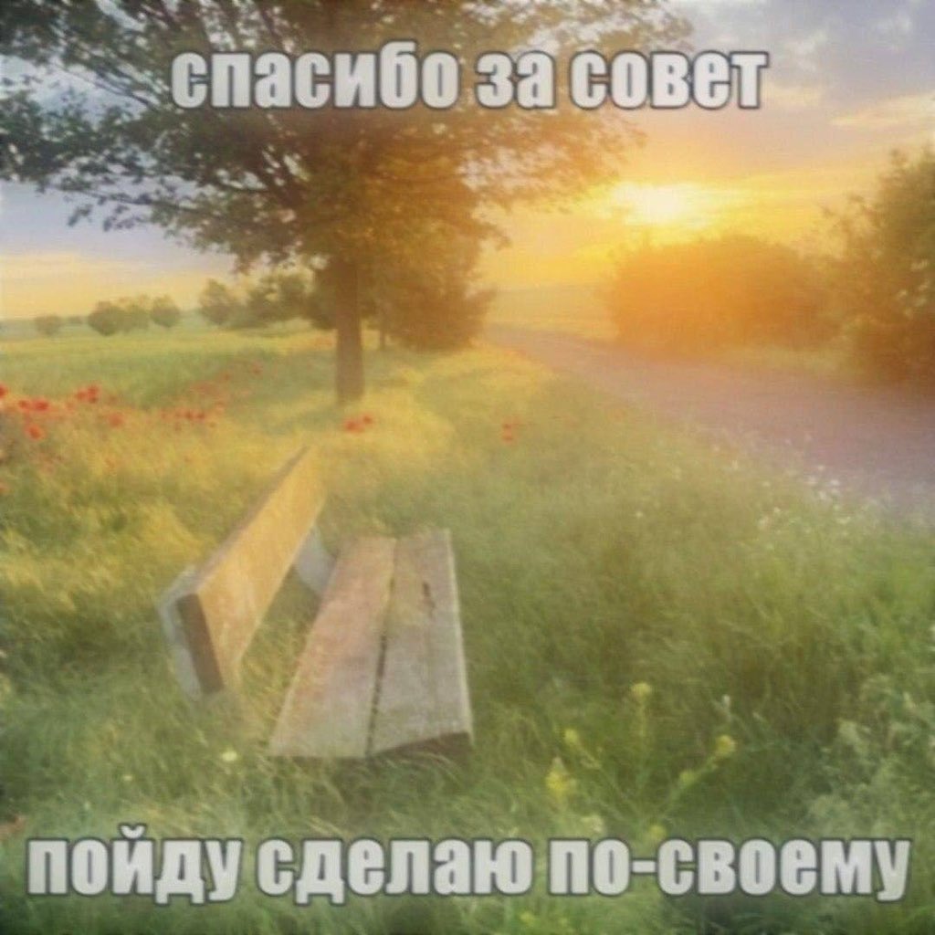 Шиза&База (@shkotobaza) on Twitter photo 