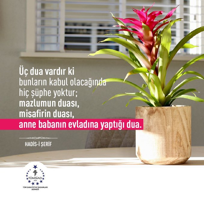TÜMSİAD tweet media
