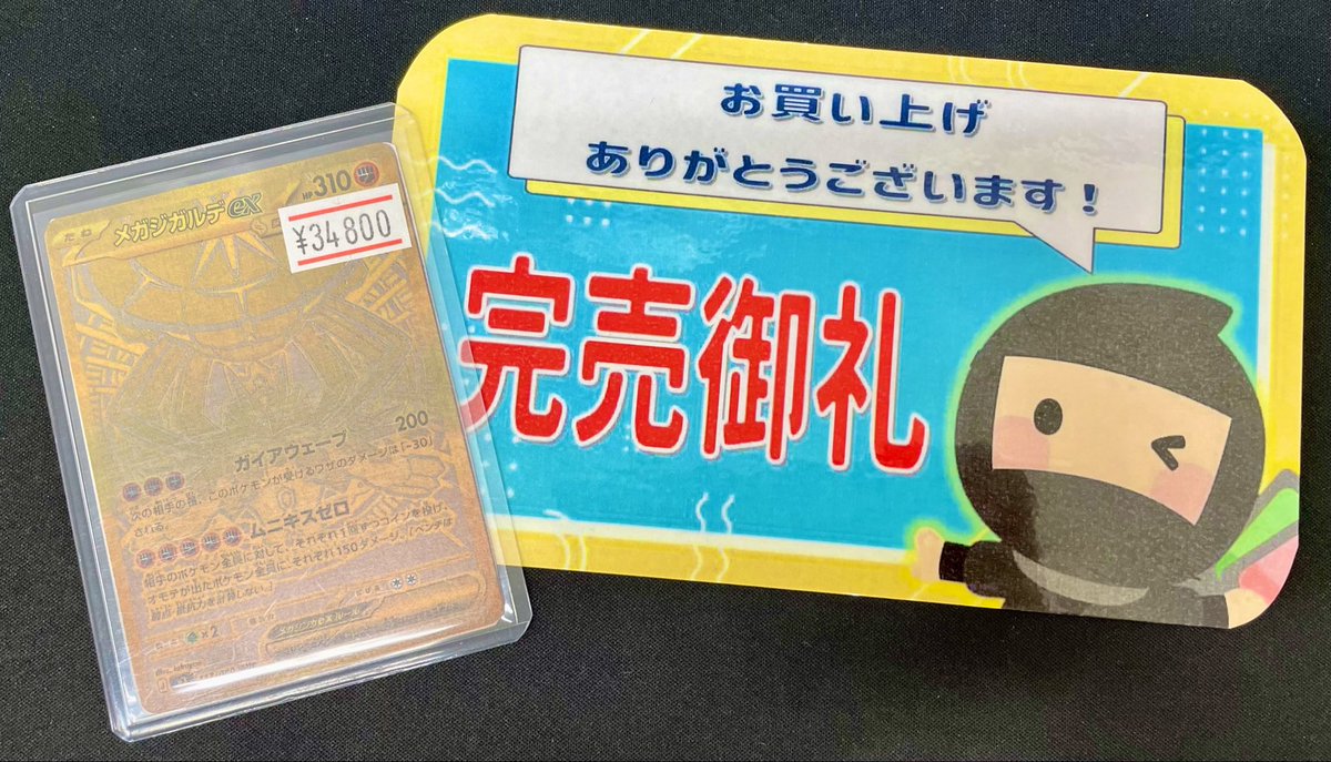 ✨🛍️ニンニン完売情報🛍️✨ ✨🌟 #メガジガルデ ex MUR🌟✨ 完売