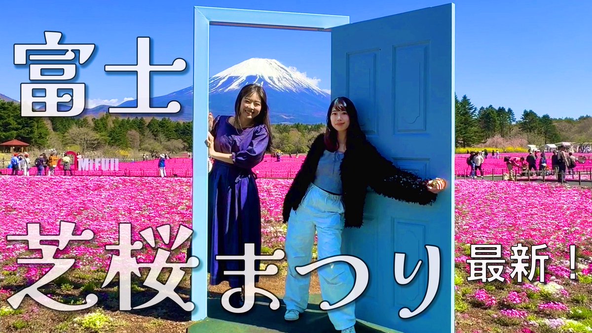 Design_Camp_A's tweet photo. 【今が満開】富士芝桜まつりで遊び尽くす🌸はしゃぎ散らかしてきました🥳
youtubeも観てね〜↓ https://t.co/wKLf5TNlWj