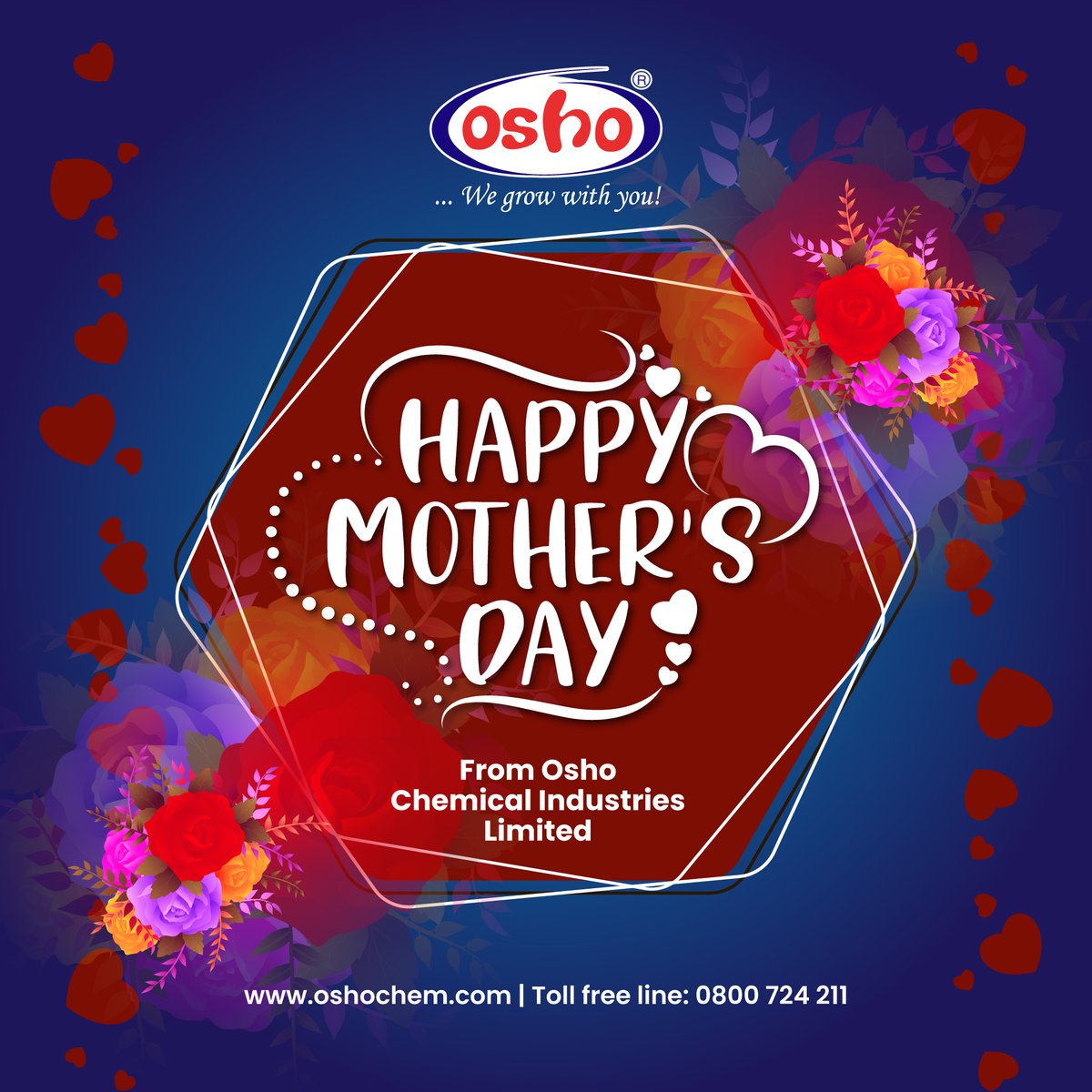 Osho Chemicals tweet media