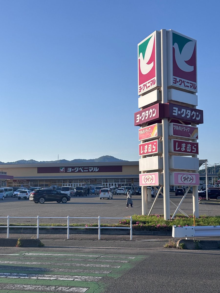 さや香 新山(にーやん) tweet media
