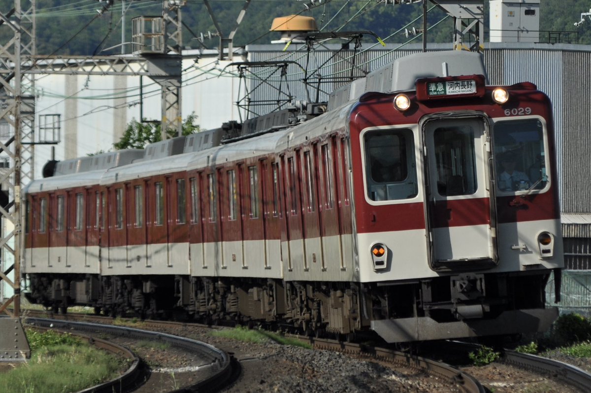 道明寺6号 本命である C29とC31を大ミス😢 ちなみに、ここにいる間