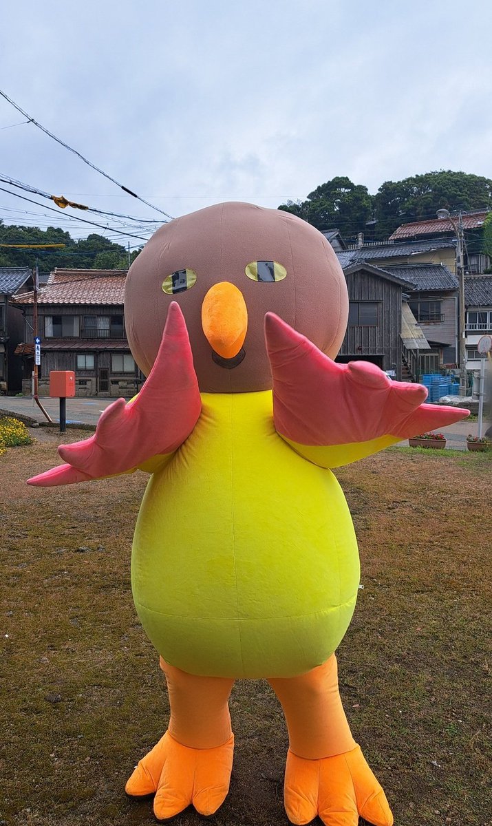 めうちゃ tweet media