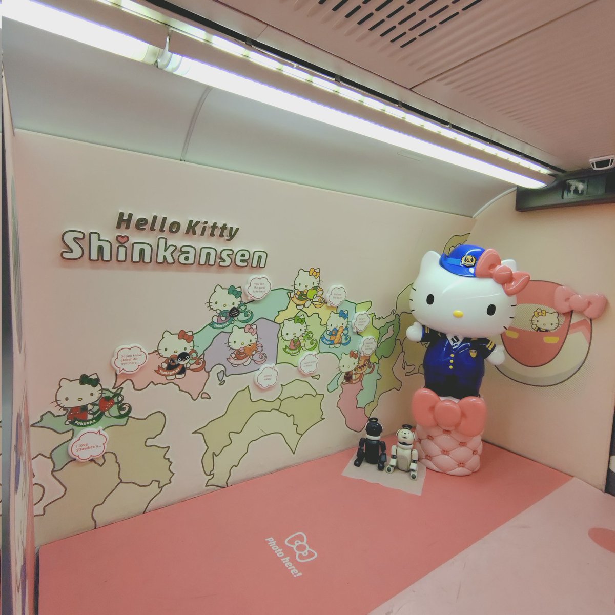 赤茄子🍅(ダイヤとアンバーとジェイドとルビーの飼い主) tweet media