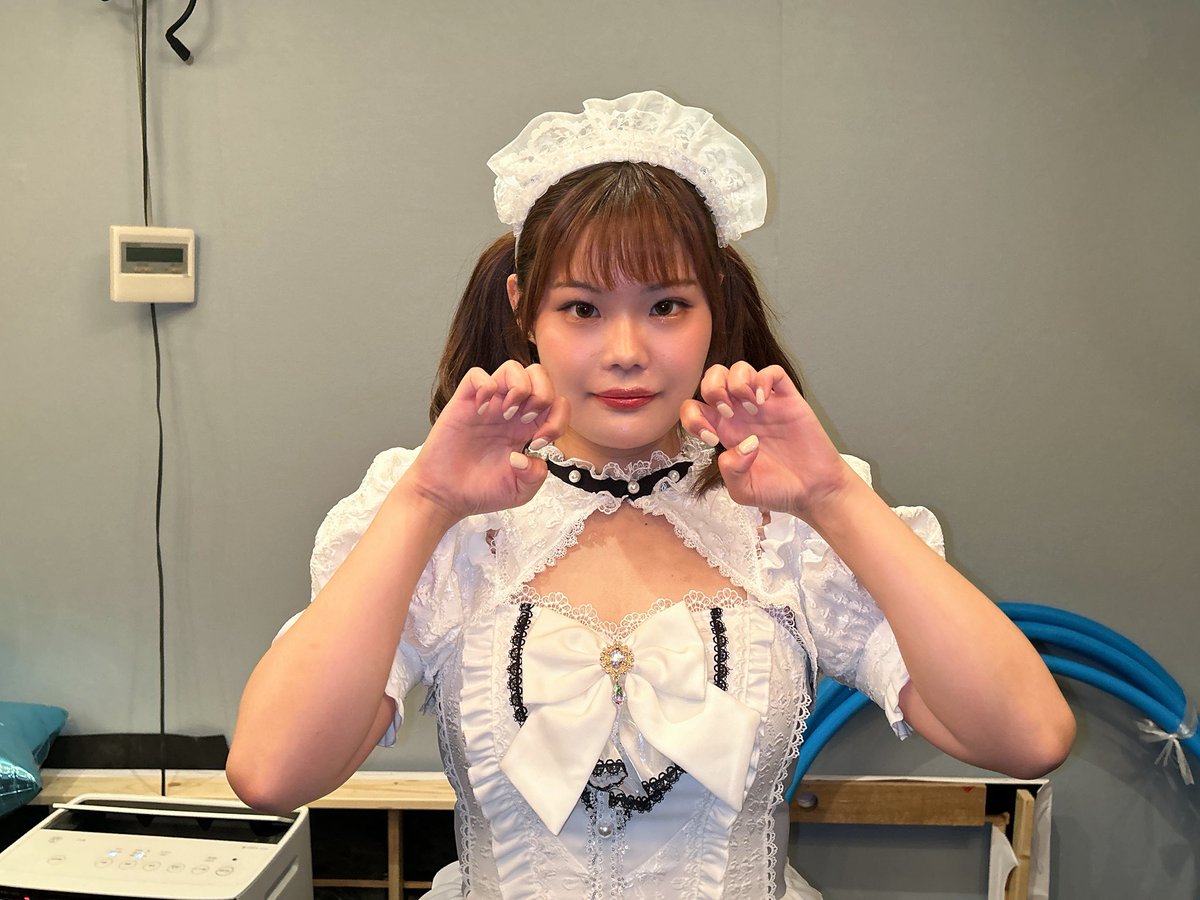 めろうるふ🎀新宿歌舞伎町コンカフェ🩶 tweet media