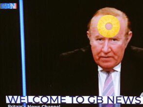 nivsee tweet media