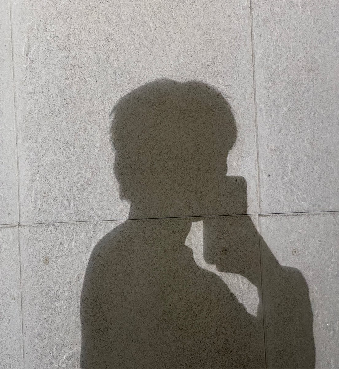 재욱나무 tweet media
