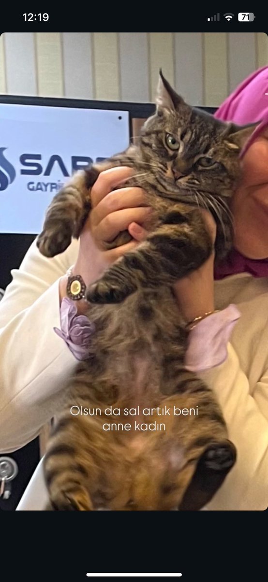 Minel 🇹🇷 tweet media