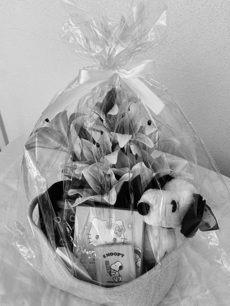 vanceyrie's tweet photo. rale’im ile hediye bakmaya çıkmıştık. çiçek alacağından bahsediyordu romantik olurmuş… çıktığımızda böyle seçti ve bir paket hazırladı. (çikolataları canı çekmişti, anneme alalım diye kendisine aldırdı… sırada bekliyor yemek için prensim) https://t.co/IdRSpURD3L