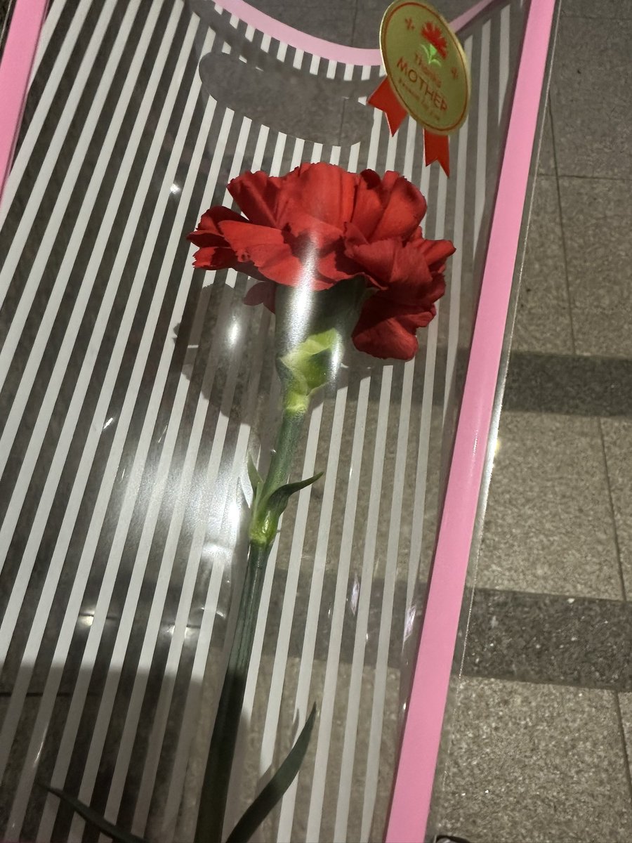 タール tweet media