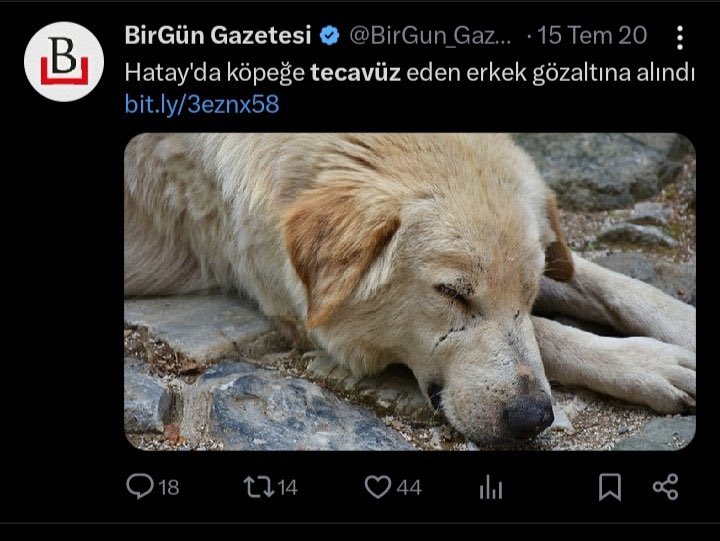 Calipto tweet media