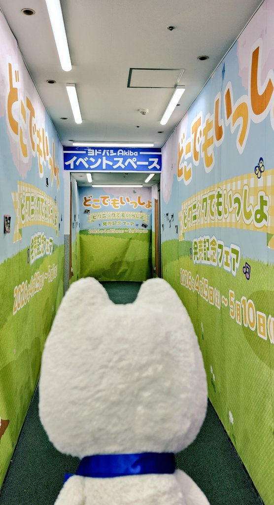 スター tweet media