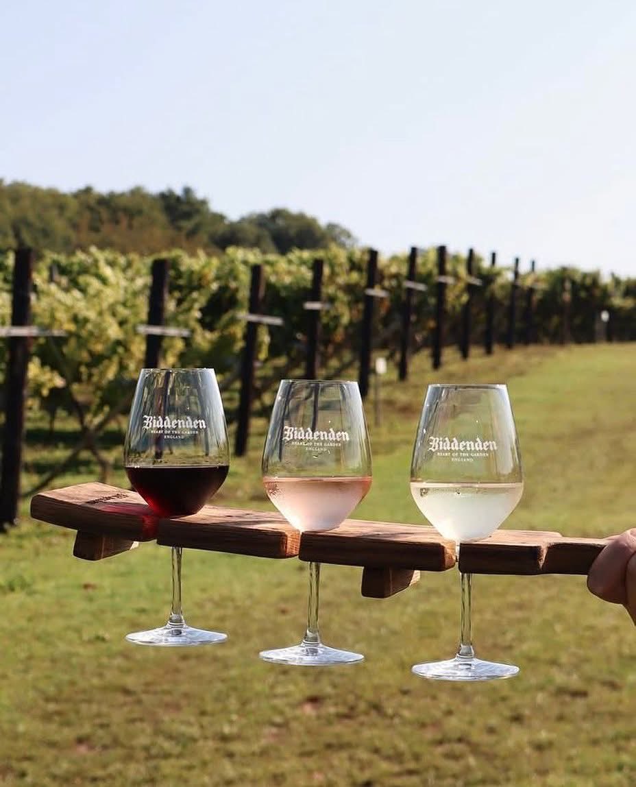 Biddenden Vineyards tweet media