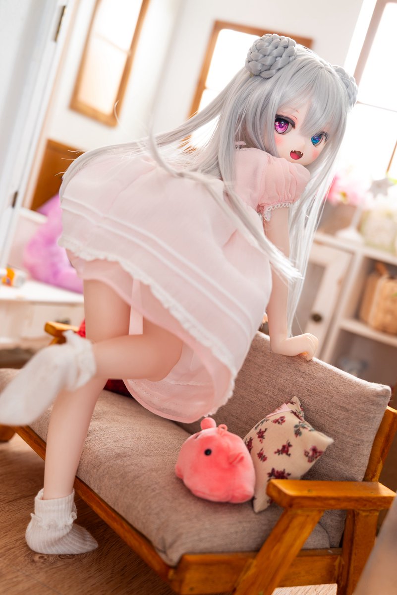 🍚しょー吉🍚 tweet media