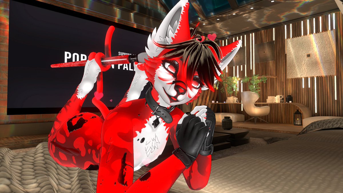 Snowycat tweet media