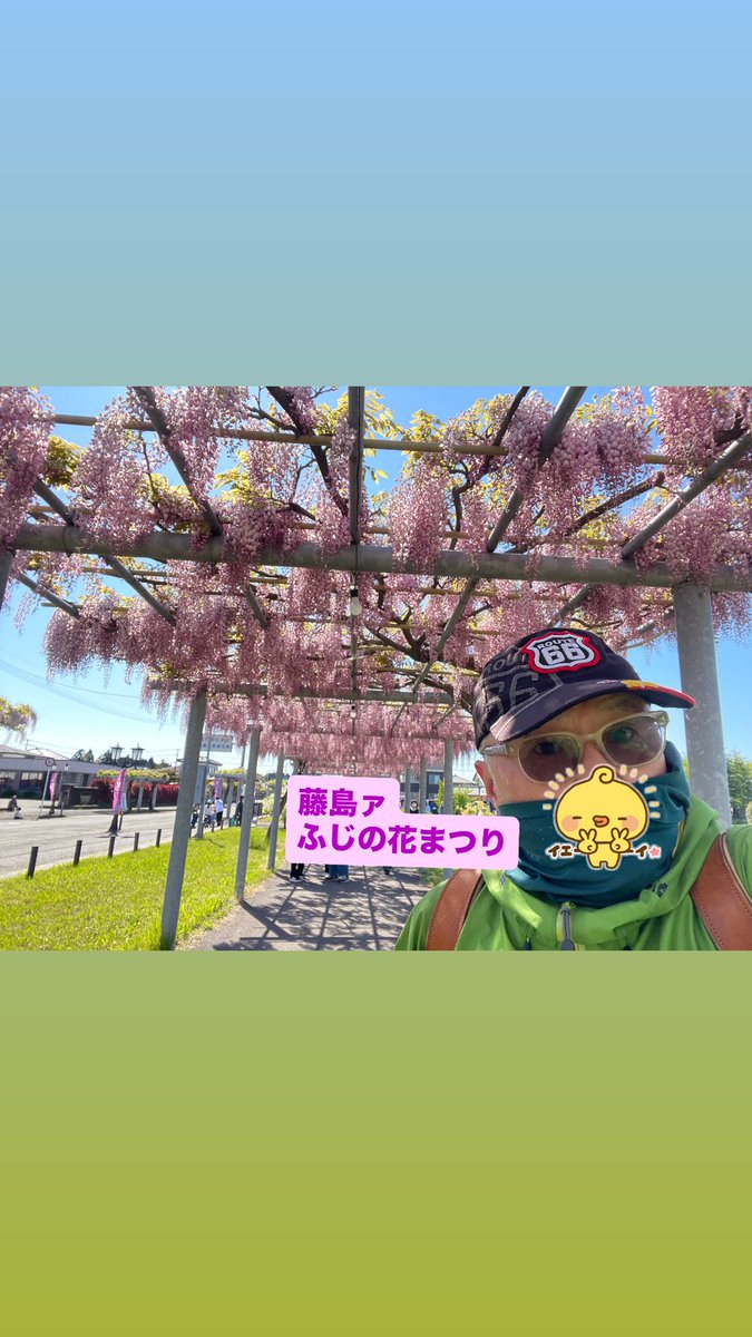 きくちゃん tweet media