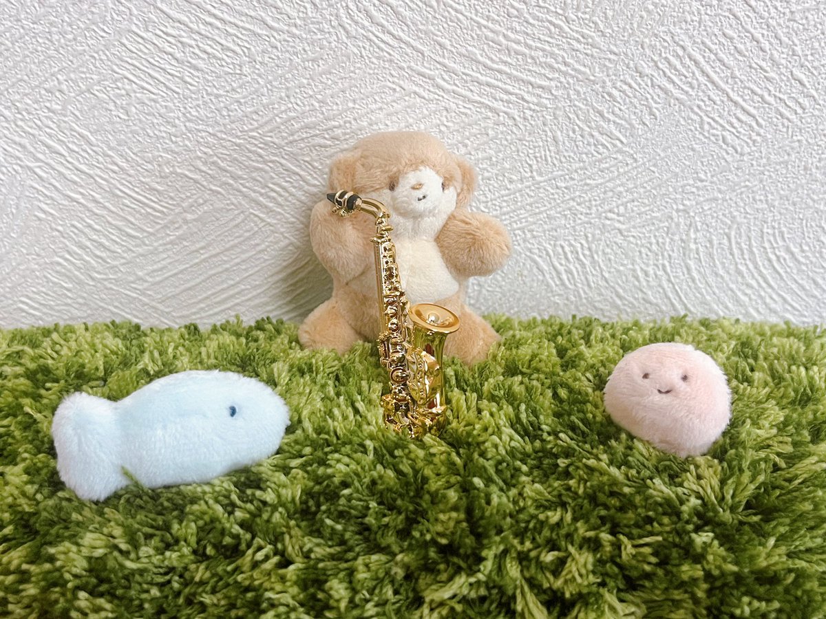 今夜も楽団練習行ってくる🎷♪