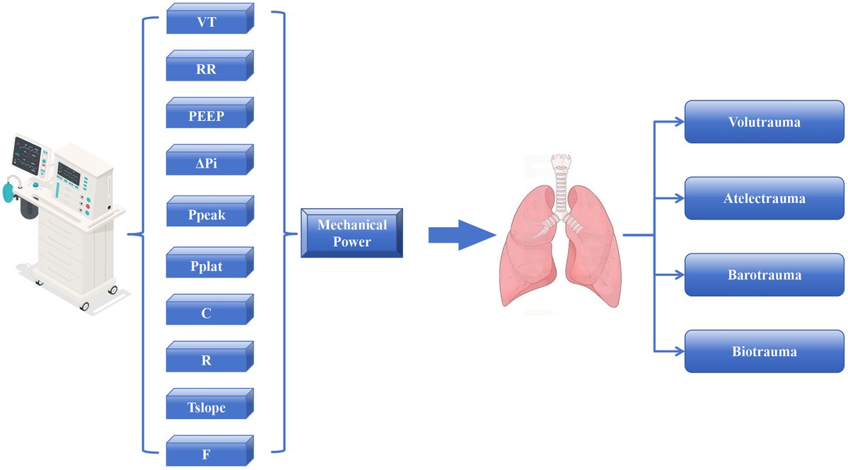 The Association Between Mechanical Power and Postoperative Pulmonary Complications: A Critical Narrative Review of Clinical Controversies

CCR Journal Watch
criticalcarereviews.com/latest-evidenc…