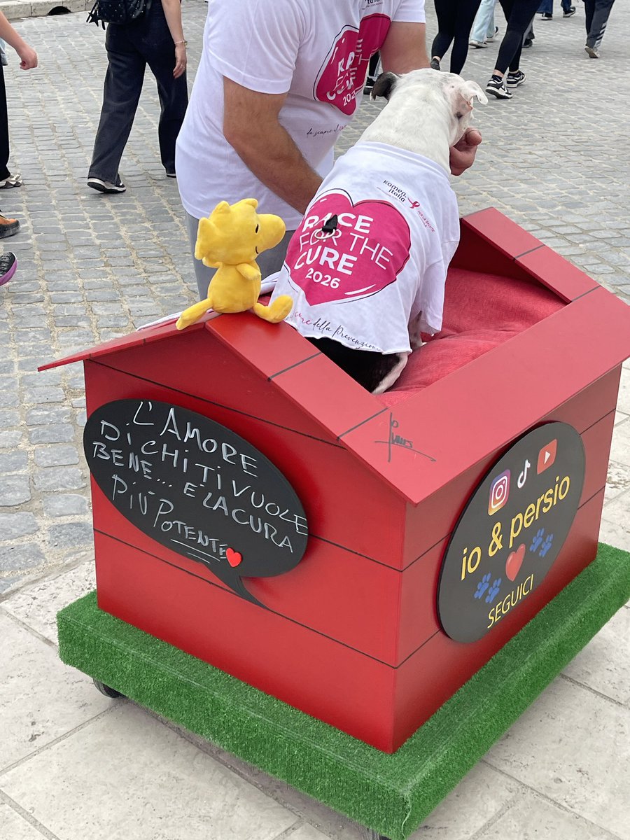 ME45529650's tweet photo. @komenitalia 💖💖💖c’è solo un capitano @ArmandOrlandi https://t.co/r0KxWmEQol
