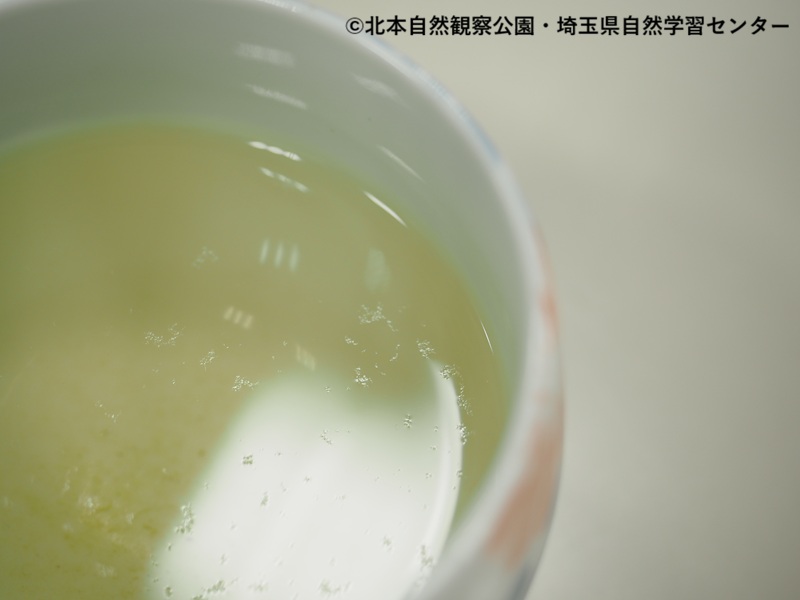 埼玉県自然学習センター【公式】 tweet media