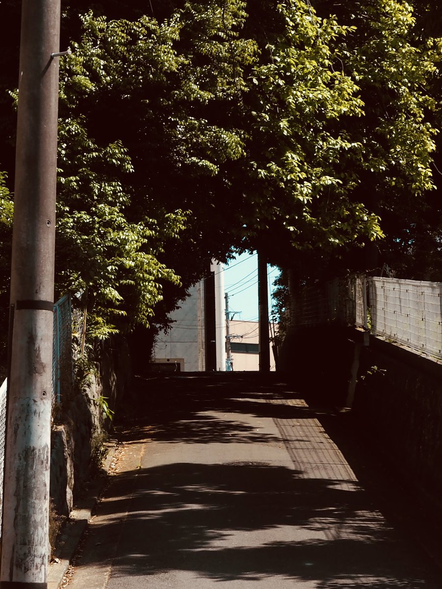 boc_manana's tweet photo. 「オモシロイ」は唐突に。 https://t.co/hbmX7C45Du