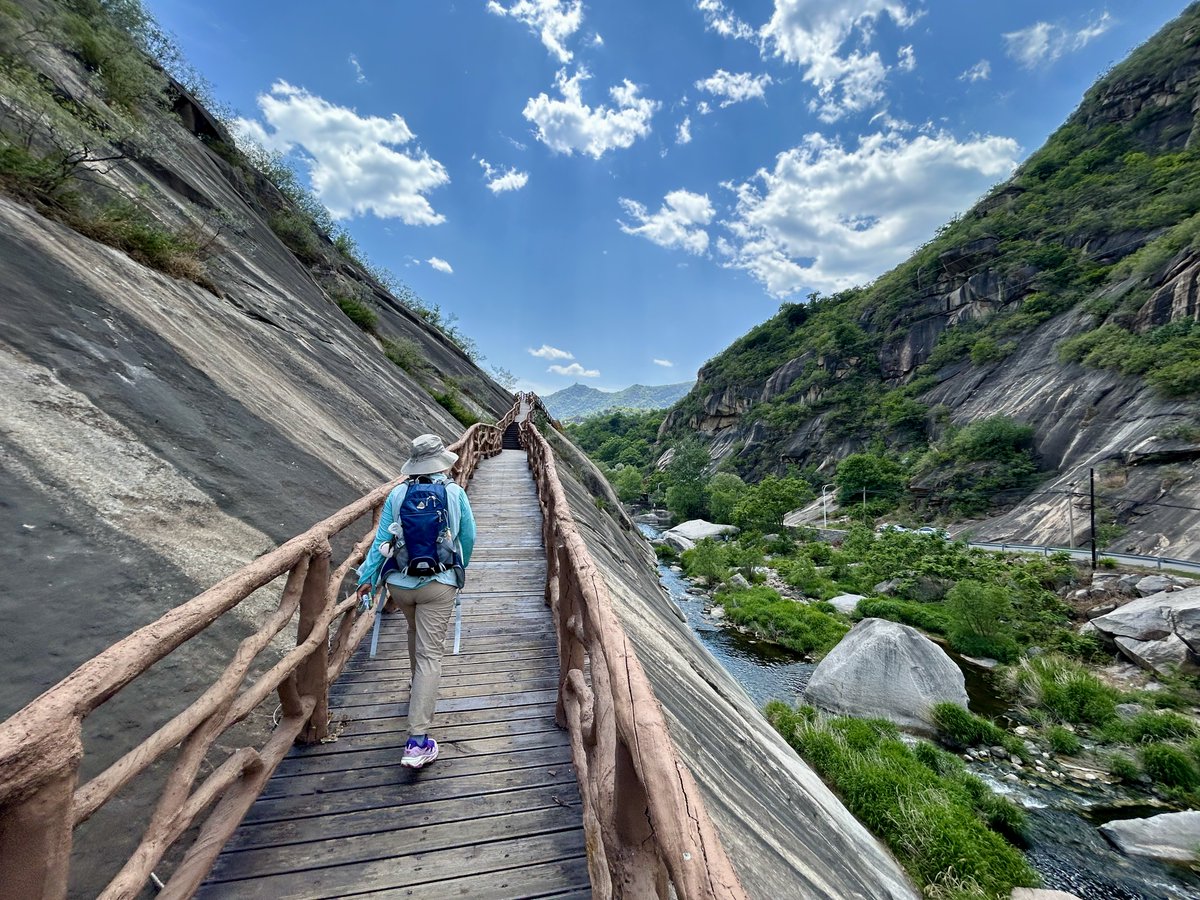 Ruby_Saturn's tweet photo. Strolling Shentangyu Trail.
神堂峪栈道溜达
2026.05.10 https://t.co/jhCAEqmyUQ