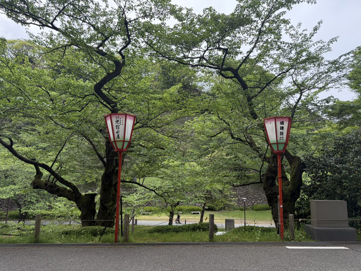 メイ tweet media