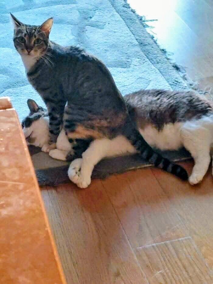 SlenderSherbet's tweet photo. "Keep scrolling. This doesn't concern you" https://t.co/jNzGl9zz9z