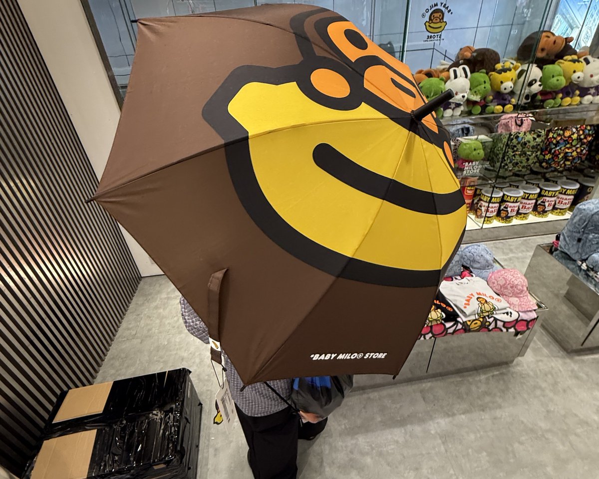 김동비 tweet media