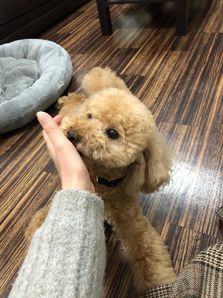 ボーちゃん先輩可愛い😍😍