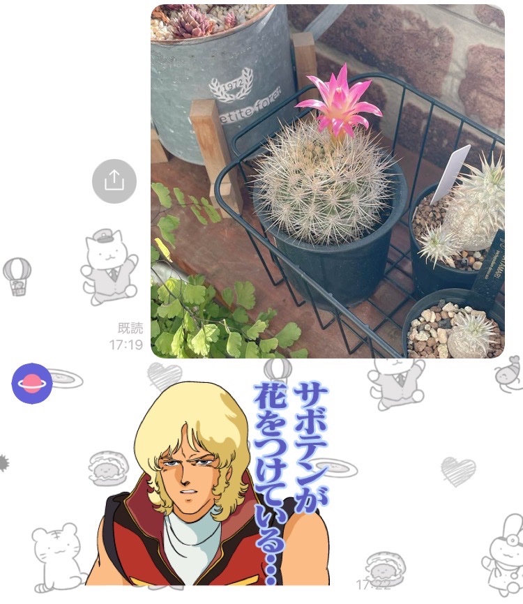 サボテンが咲いたので例のスタンプを使ってもらったよ 