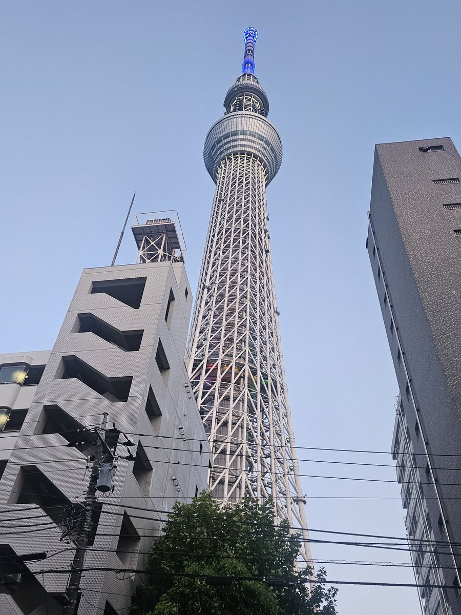零細社長のサウナ日記 tweet media