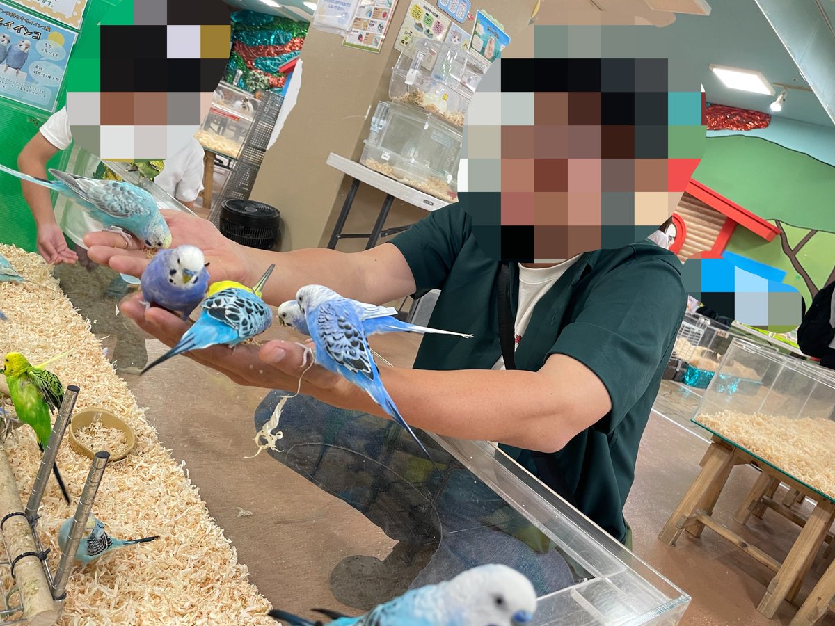 かおりん tweet media