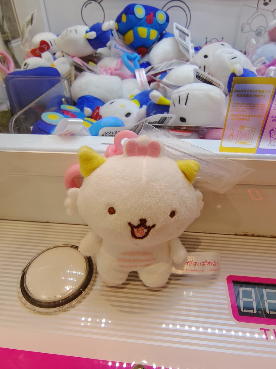 ふなみゆい tweet media
