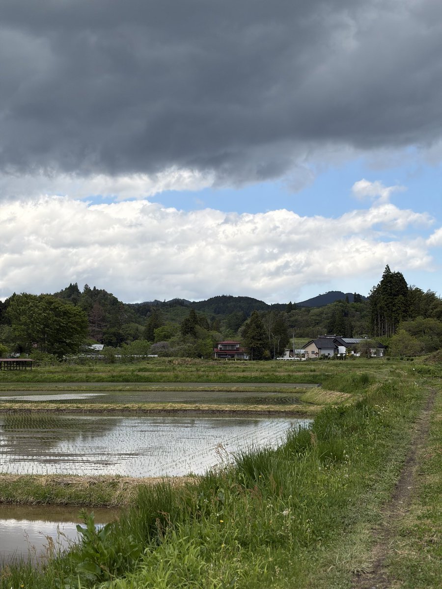 梓 tweet media